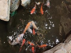 -鸥迪足道(湖南示范店)