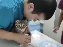 -宠颐生动物医院·心脏科·保险定点(锦阳分院)