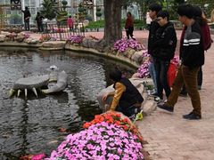 -东南花都花博园