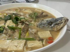 -煲来饱去冷水鱼