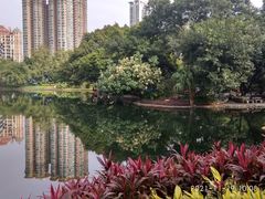 -晓港公园