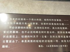 -绍兴鲁迅故里·沈园景区