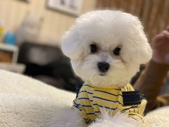 -佳雯宠物医院(金华南路分院)