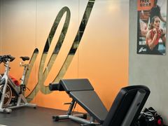 -健身专家Wellness Experts