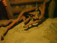 -张掖大佛寺景区