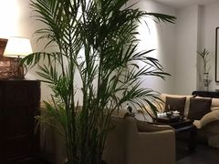 -皇城根茶馆(兴隆都市馨园店)