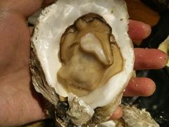 -烧蠔帮·湛江生蚝(工农店)