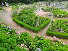 -上海共青森林公园