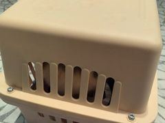 -momokira米努特·德文卷毛猫·棉花面纱犬