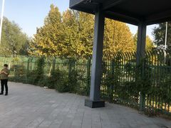 -河北省园博园