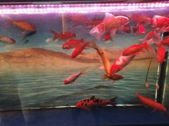 -山东特产豪士特(遥墙国际机场店)