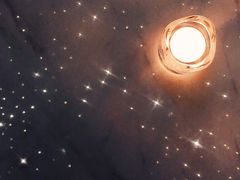 -STARRY CAFE & LOUNGE BAR(高新店)