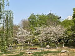 -堤角公园