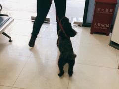 -申普宠物医院·眼科·心内科·影像科(普陀分院)