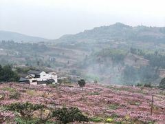 -观清澜疗愈民宿(龙泉山风景区店)