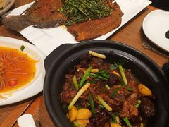 -滇越乘象云南餐厅(次渠店)