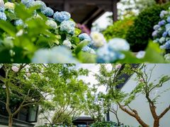 -雅达·阳羡溪山小镇中心