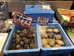 -黑潮市场