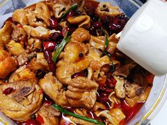-川大刘肥肠鸡(北国店)