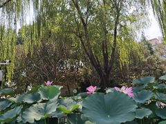 -丰台花园