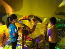 -恐龙探索乐园(磁器口店)