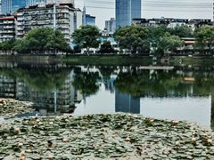 -宝岛公园
