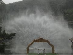-西双版纳原始森林公园