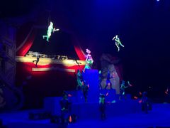 -珠海横琴长隆《卡卡虎奇遇记》