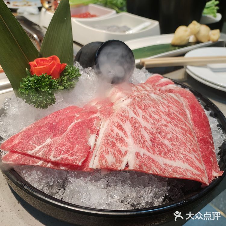 别捞了，直接住海底吧❗️