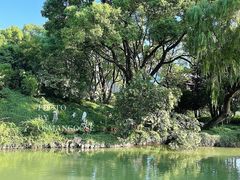 -上海醉白池公园