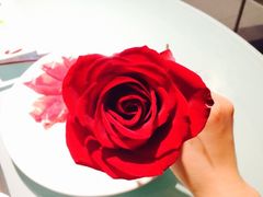 情人节玫瑰-海底捞火锅(海宁路店)