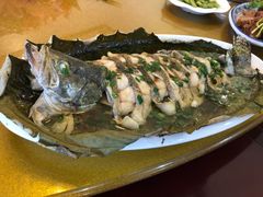 -呼吸森林·生态农庄农家乐私房菜