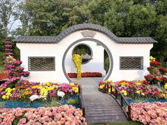 -上海共青森林公园