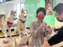 -Husky Go! 哈士奇体验馆·宠物咖啡厅狗咖
