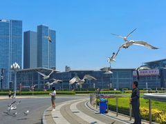 -大连星海广场音乐喷泉