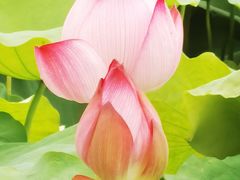 -丝绸小镇荻港古村