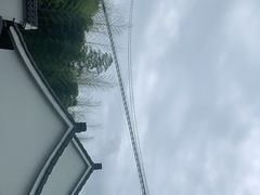 -中国大竹海景区