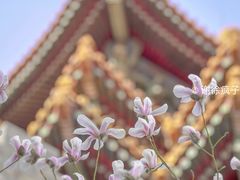 -东华门大街小区