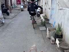 -庆祥斋糕点厂(留学路店)