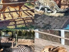 -青藏高原野生动物园