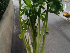 -汉水公园
