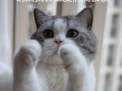 -海底捞火锅(九霄梦天地店)
