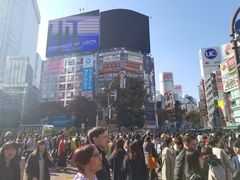 -涩谷区