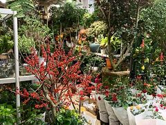 -双季花艺园艺市场(浦东店)
