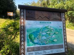 -海南霸王岭国家森林公园