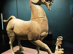 -广西壮族自治区博物馆