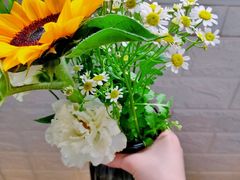 -双季花艺园艺市场(浦东店)