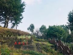 -大渡口区义渡公园