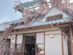 -Blue Concept Cafe&Farm·關於藍