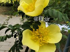 -南海子公园